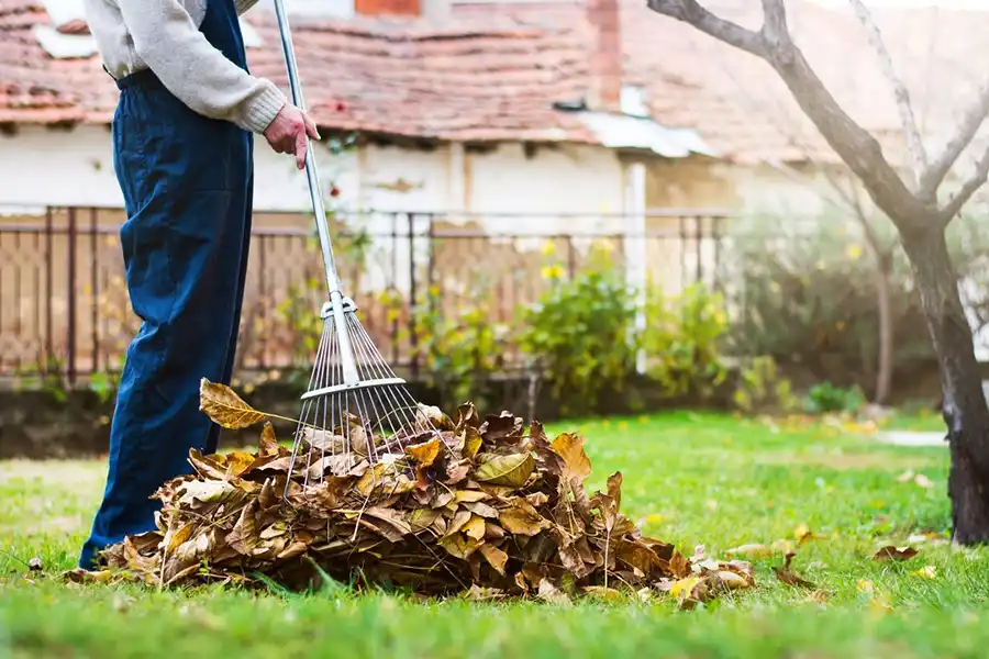 How To Clean A Backyard in Elgin, IL