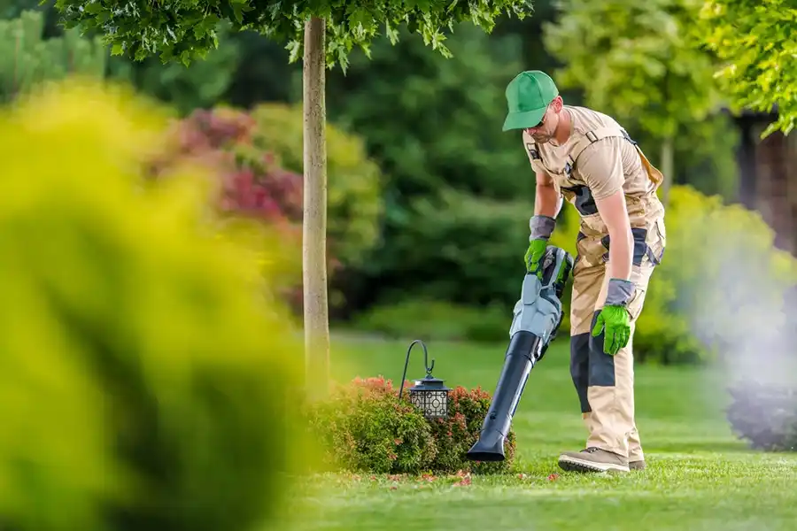 How To Clean A Backyard Elgin, IL