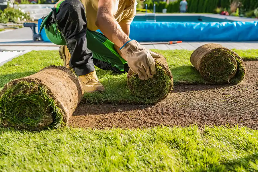 How long after installing sod can you walk on it in Elgin, IL