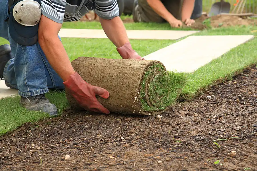 How long after installing sod can you walk on it Elgin, IL