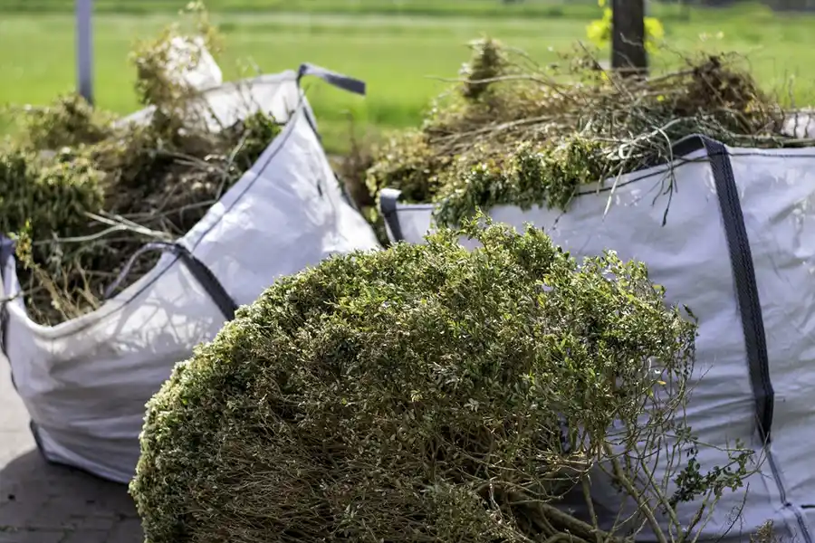 How to clear a yard full of weeds in Elgin, IL