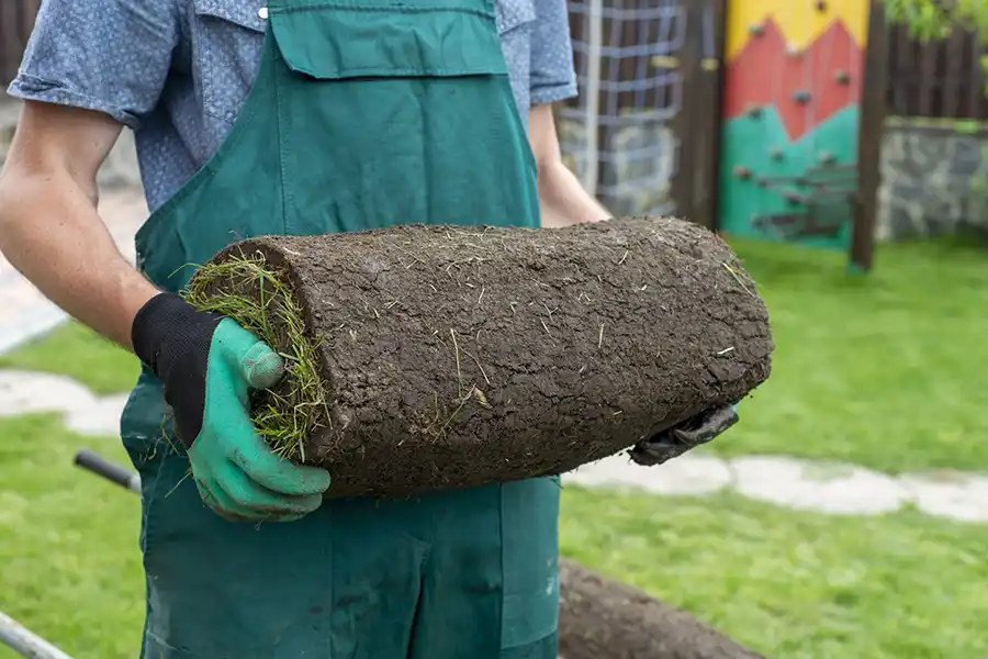 How to lay sod over existing lawn Elgin, IL