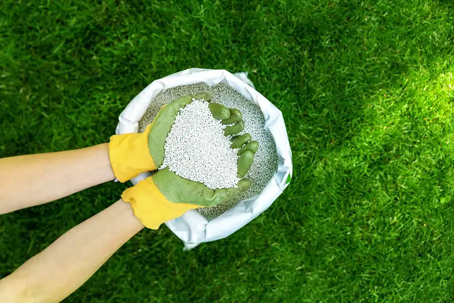 When is the best time to fertilize your lawn Elgin, IL