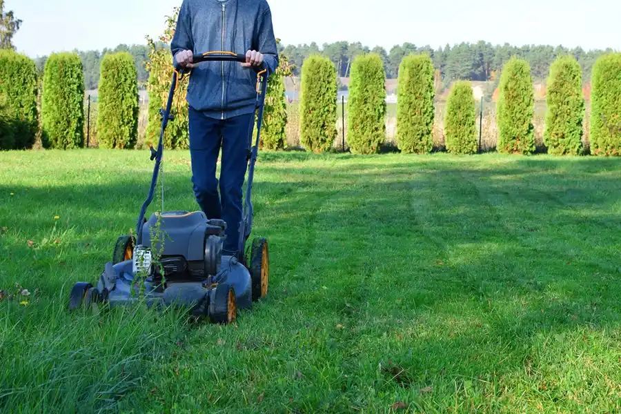 Efficient Lawn Mowing in Elgin, IL