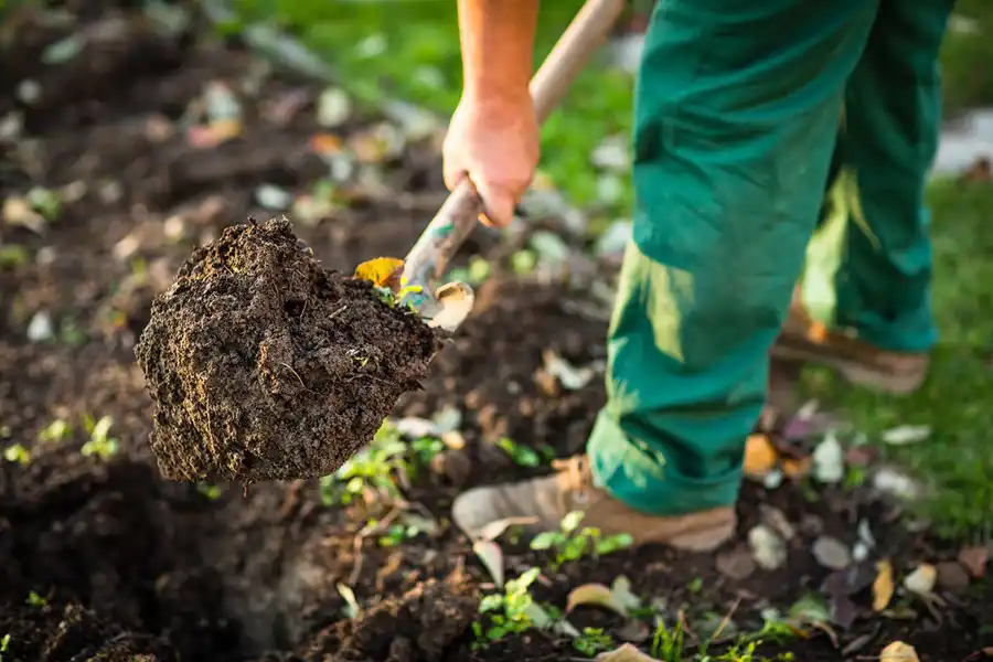 Reliable Mulching in Elgin, IL