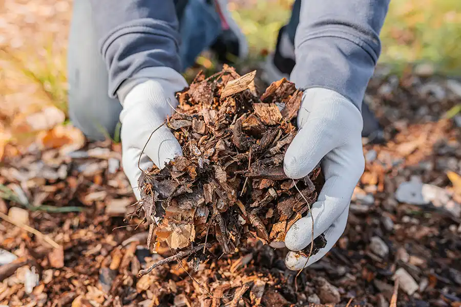 What does mulch do Elgin, IL