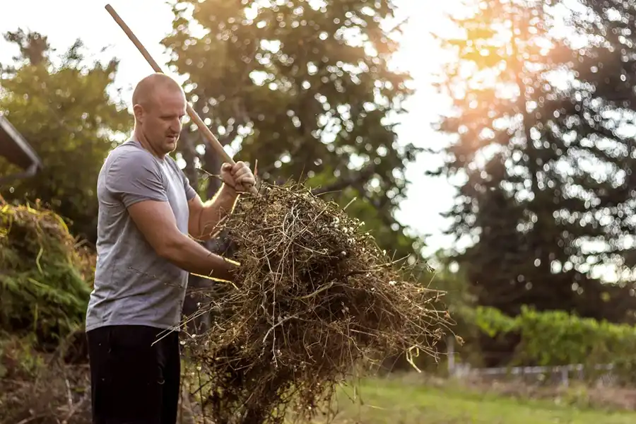 Efficient Yard cleanup in Elgin, IL