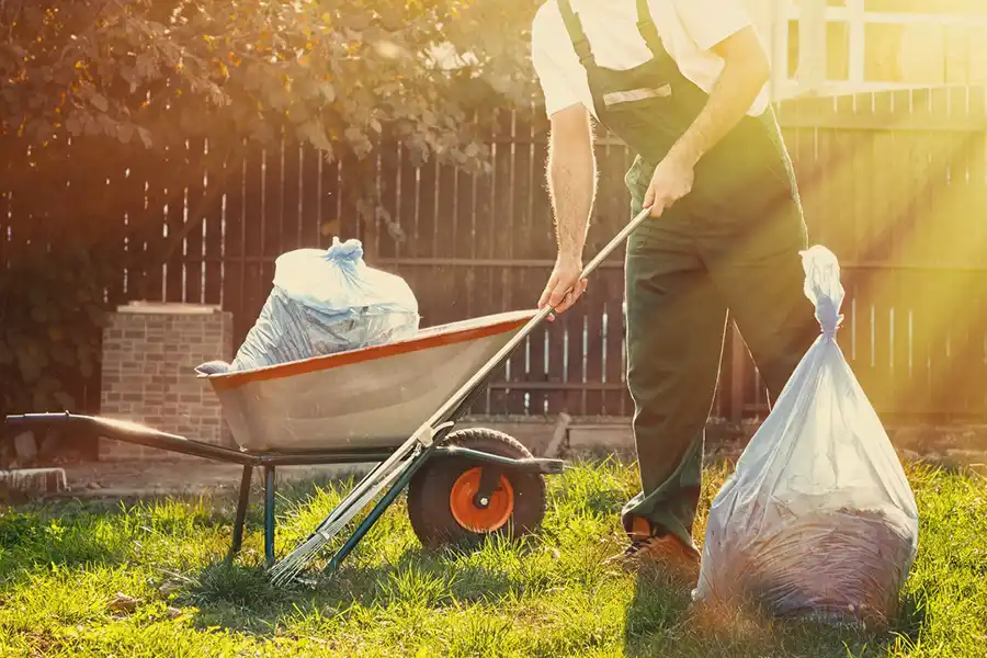 Best Yard cleanup in Elgin, IL